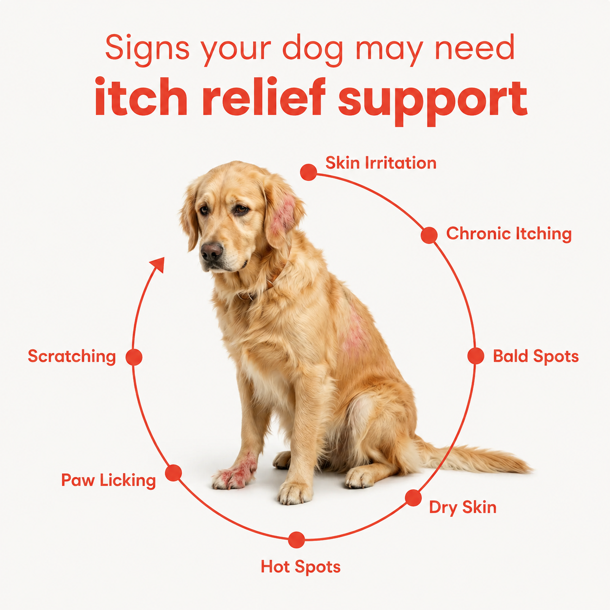 Ruffs™ Turkey Tail Probiotics